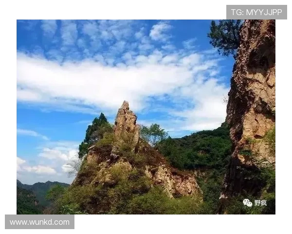 圣淘沙娱乐：体验空中缆车带来的绝佳景色与浪漫的观光体验