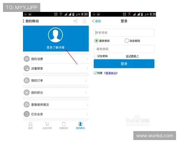 星城手机官方地址官方地址查询方法，轻松掌握官方地址获取技巧